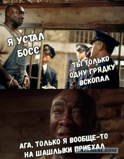 Кругом один обман...