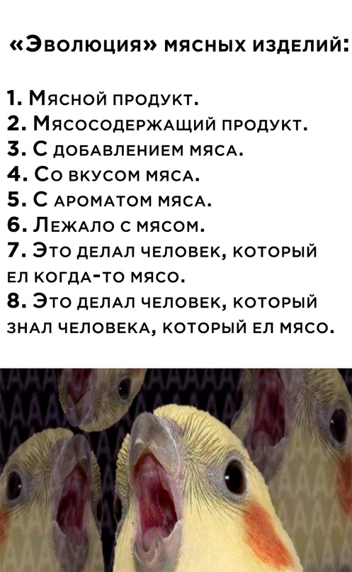 Картинки и мемы, всем хороших выходных
