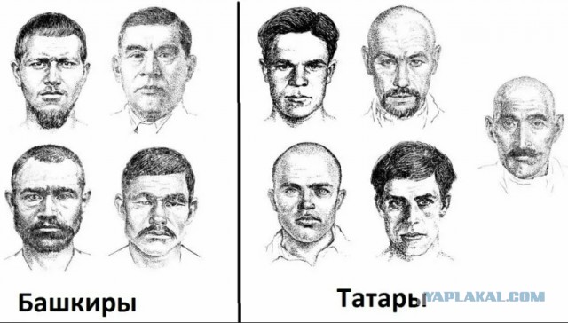 Разница между башкирами и татарами