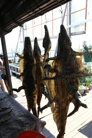 Украшаем дачный участок своими руками
