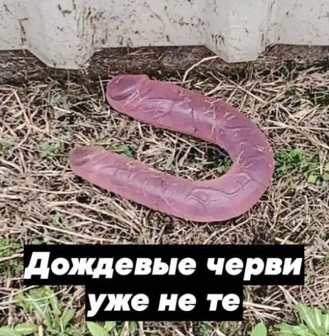 Чуток картинок 25.05.23
