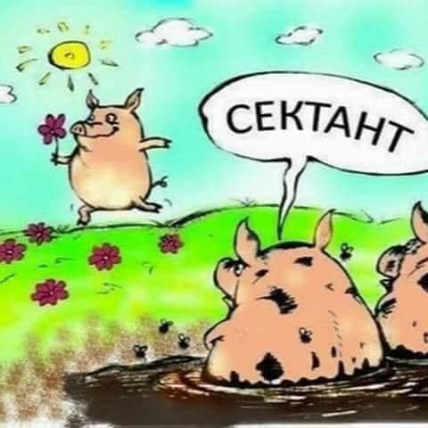 Картинки разные с надписями и без