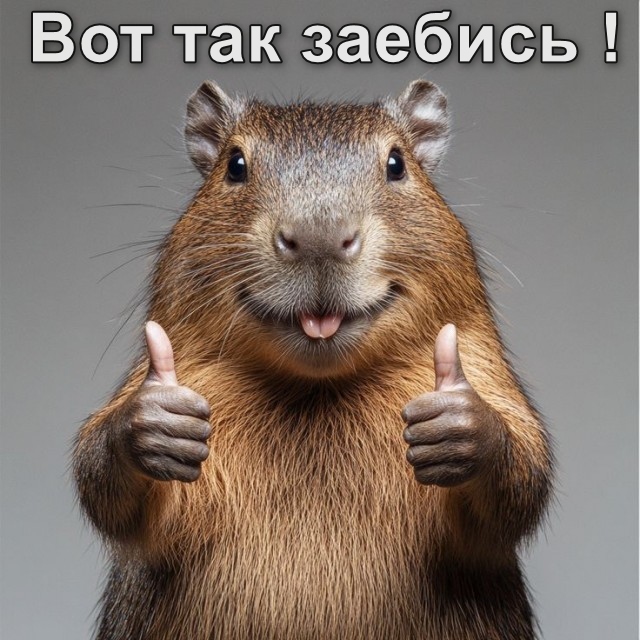 Павел Дуров оценил MAX