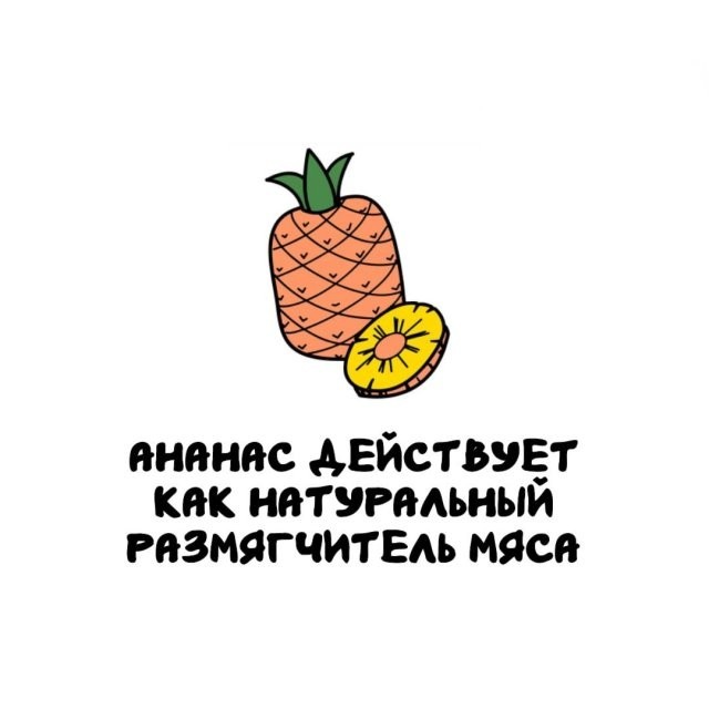 Подборка интересных фактов на все случаи жизни 26.11.25