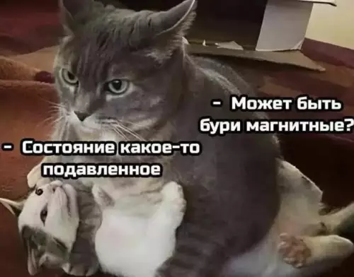 Картиночки, баянчики 04 марта