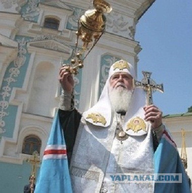 Китайцы создали суккуленты