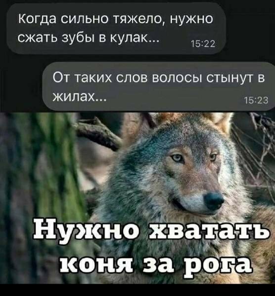 Картиночки, баянчики 09 апреля