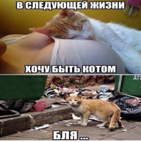 Культурное обогащение Лондона