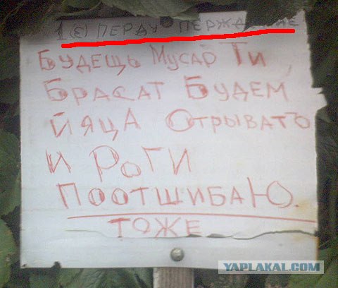 И снова прикольные пикчи