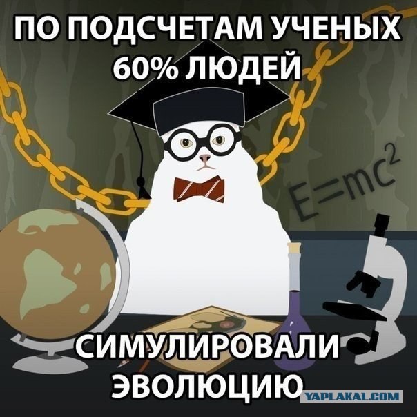 Опять Россия виновата.