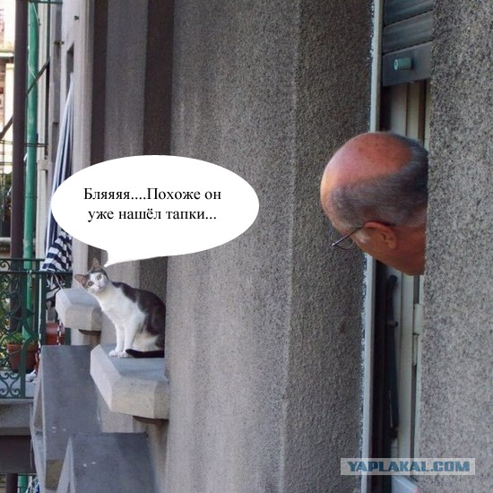 Что там такое?