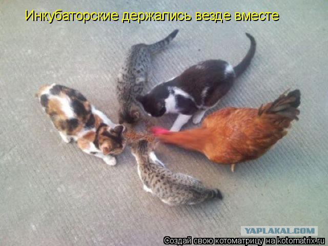 Чёрт, чёрт, чёрт!