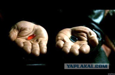 Ростовчане за несколько часов УНИЧТОЖИЛИ БУКЕТ РОЗ