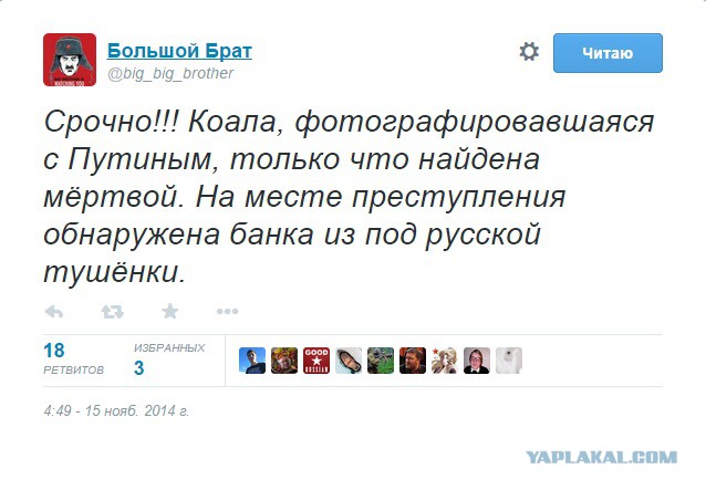 Путин и коала