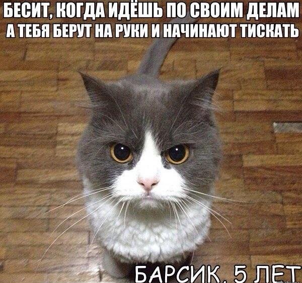 Картинок из сети немножко