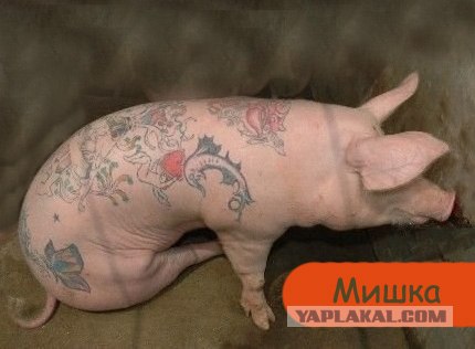 Будь всегда на позитиве!
