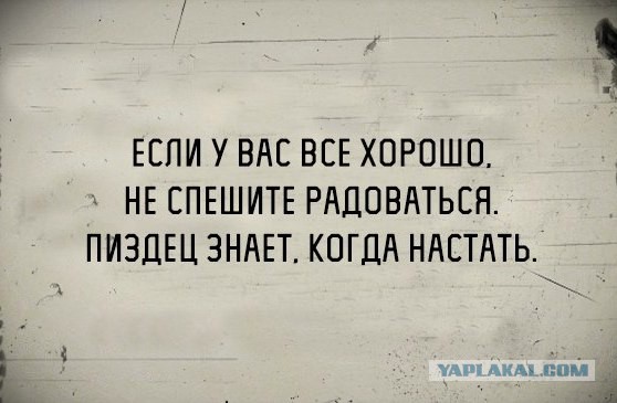 Веселые картинки