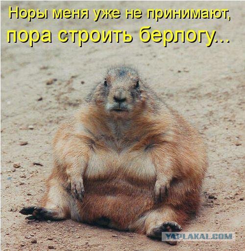 Крик души врача из Сочи