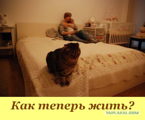 Забавные картинки из Сети