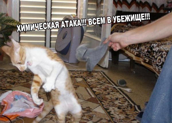 Всякое разное из интернета
