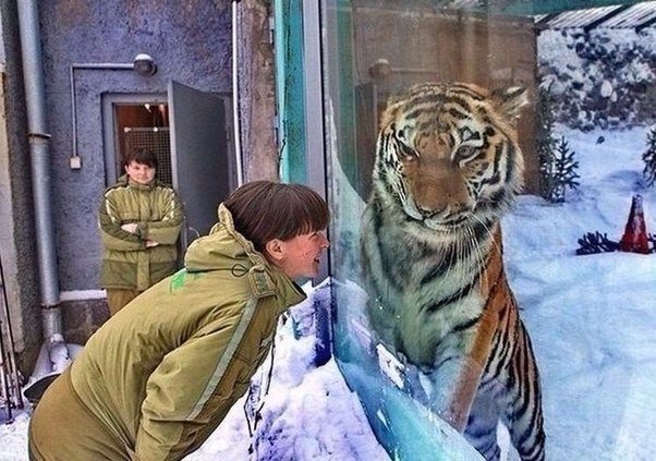 Картинки и гифки с юмором в честь дня малинового варенья
