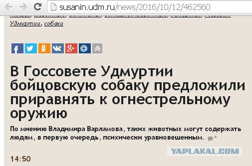 В Госсовете Удмуртии собак бойцовых пород предложили приравнять к огнестрельному оружию