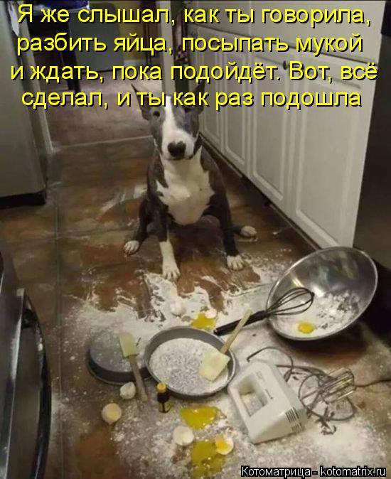 Когда твой день не задался