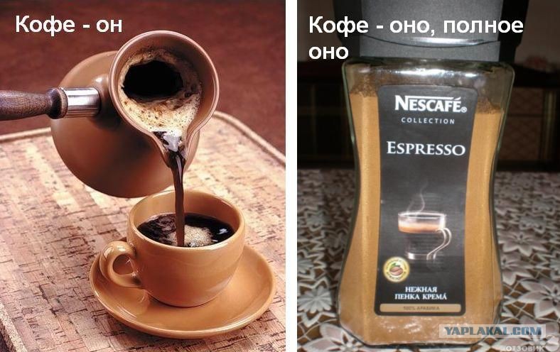 Кофе он мой или оно. Кофе оно. Кофе он или кофе оно. Кофе он или оно. Кофе он оно.