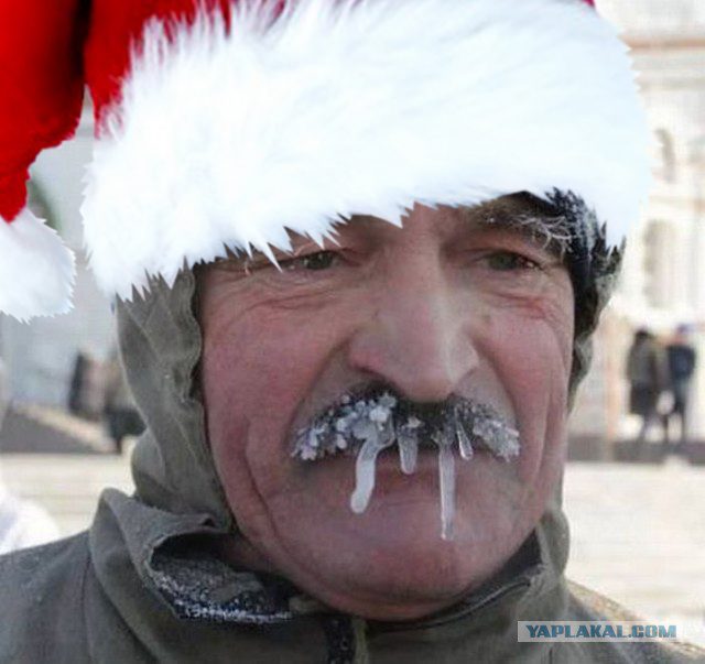 Яповцы, оновогоживайтесь!