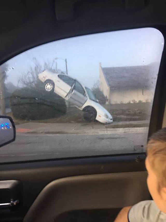 Подборка безудержного веселья