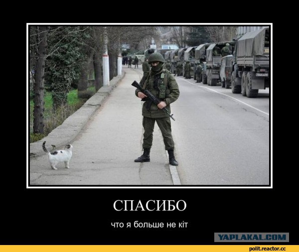 Забавная всячина