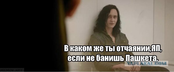 Друзья! Для нового видеоклипа моей песни необходимо четыре скрипача! (Пашкет)