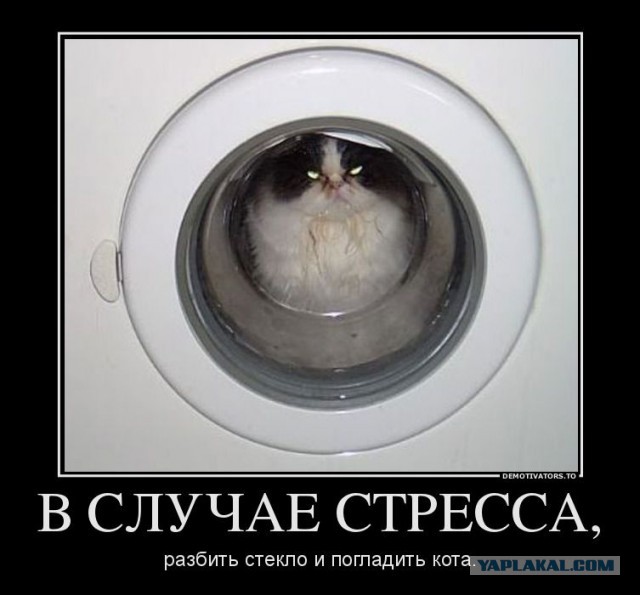 Тёмный юмор к началу недели