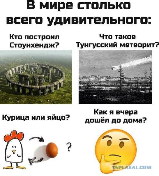 49 забавных картинок
