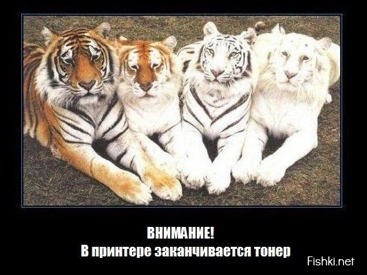 Картинки в рамках с надписями