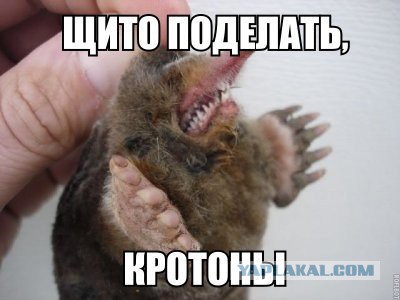Семья Бари Алибасова, который находится в НИИ скорой помощи, намерена подать в суд