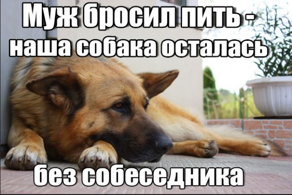 Ещё немного потерпеть