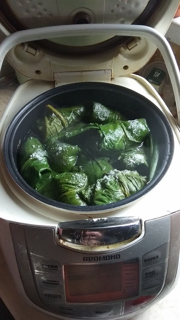 Ревнивые голубцы