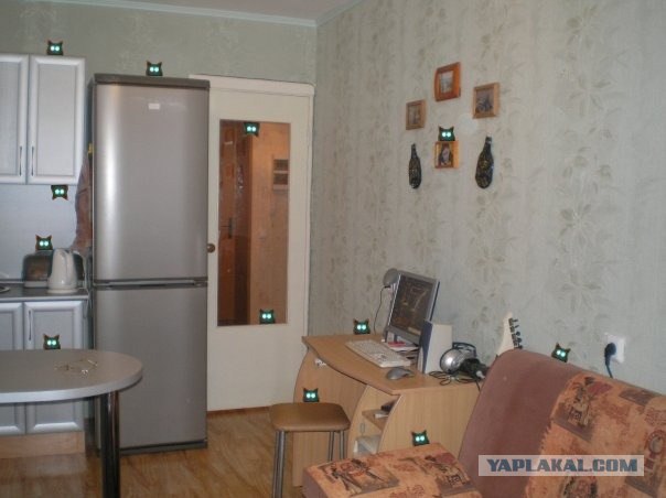 Найди кота