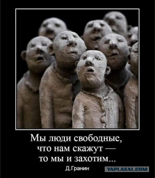 Уже не заговор. Карантин как политическая модель