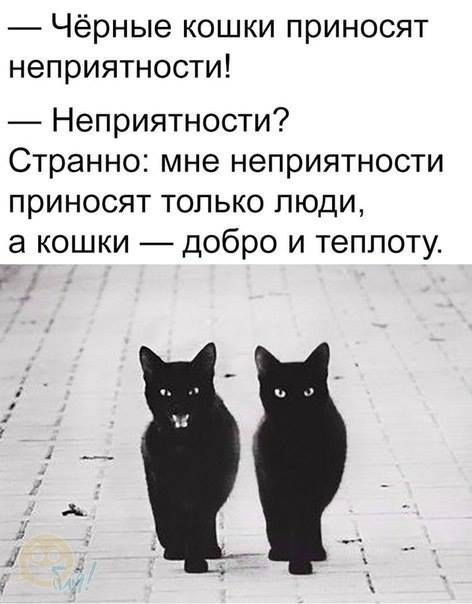 Так себе картинки 14.08.21