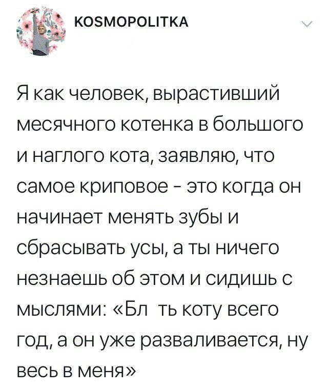 Весёлый полтишок 26.09