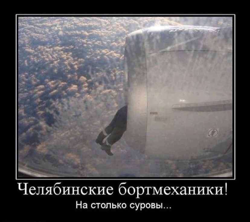 15986323.jpg