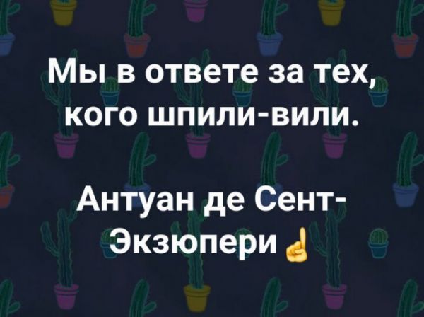 Пятница. И немного слегка пошлых картинок с надписями и без 16+ (11.02)