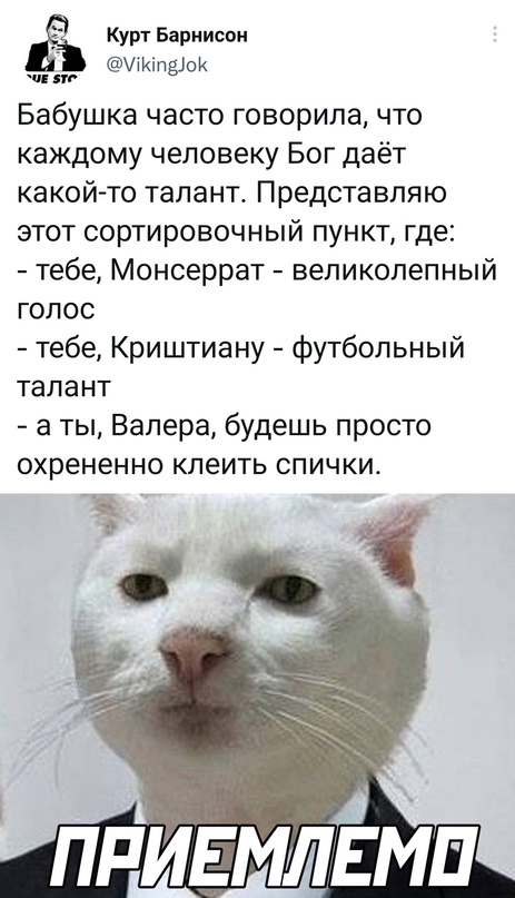 Весёлый полтишок 28.02.22