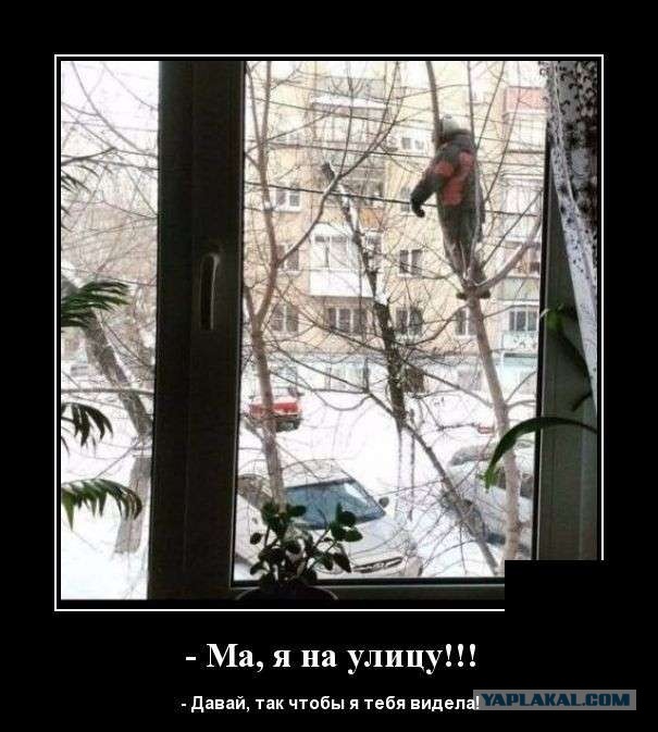 Немного картинок."Колбасный ветер". Август