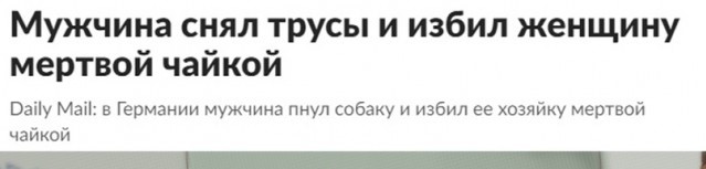 Весёлый полтишок 01.09.22