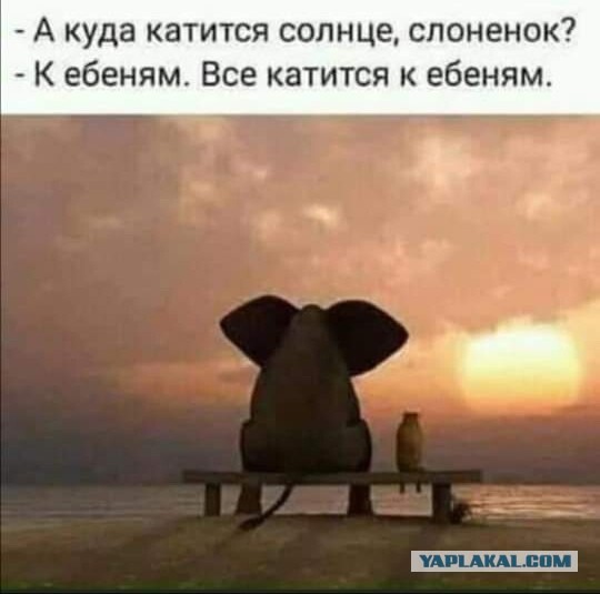 Пандемия съехавших крыш - разновидности болезни. Россия и мир. Часть 41.