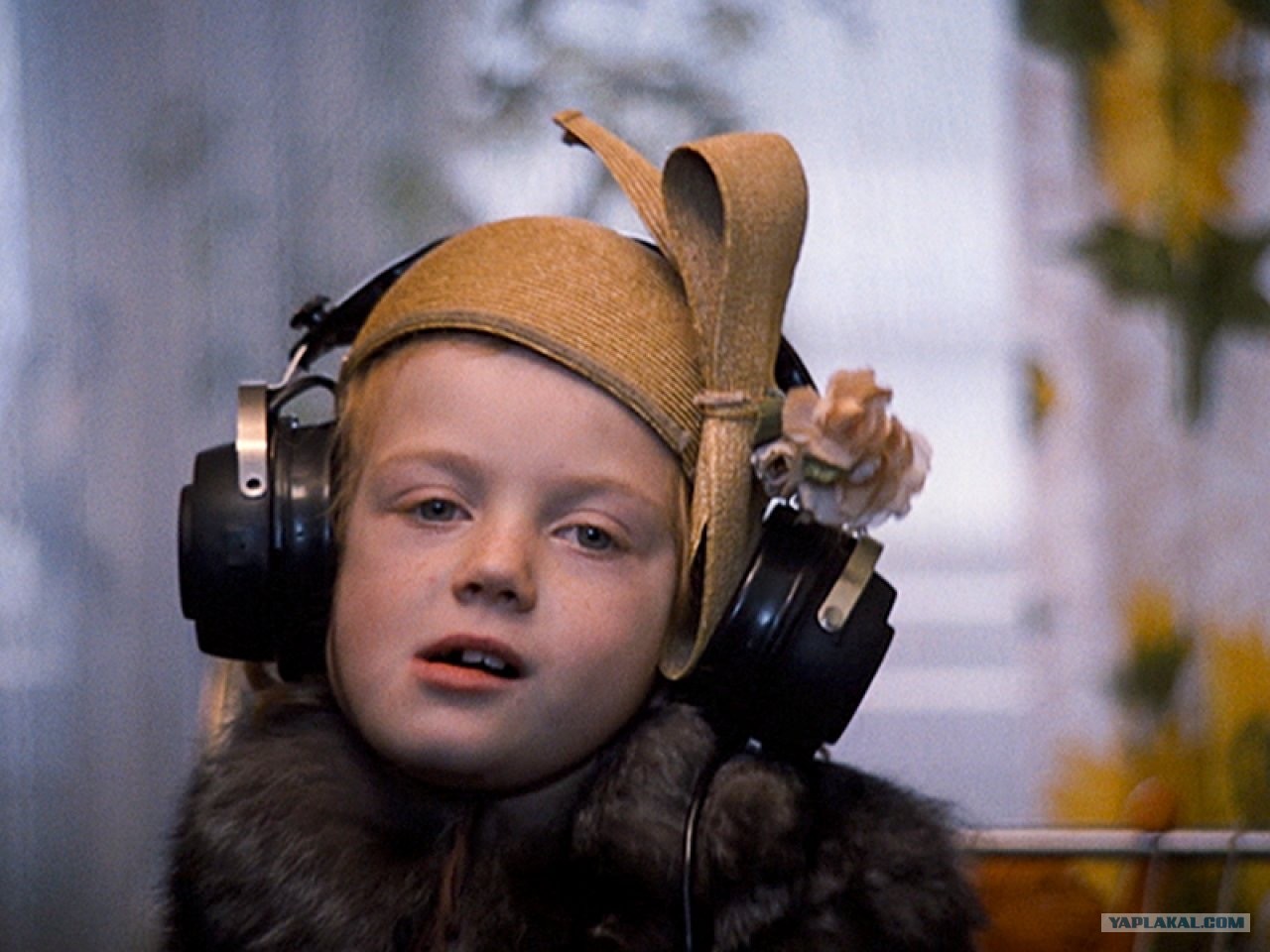 родня музыка