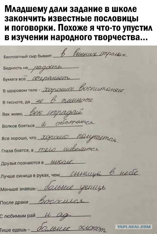 Так себе картинки 12.12.21
